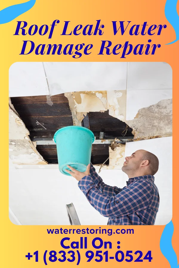 Roof Leak Water Damage Repair in Sherman, TX